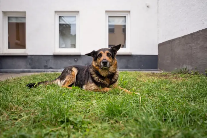 Ferienwohnung Namedy – 18